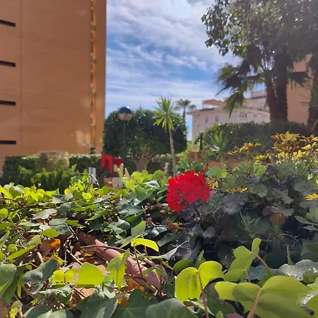 Hotel Benimar Sea View Benidorm