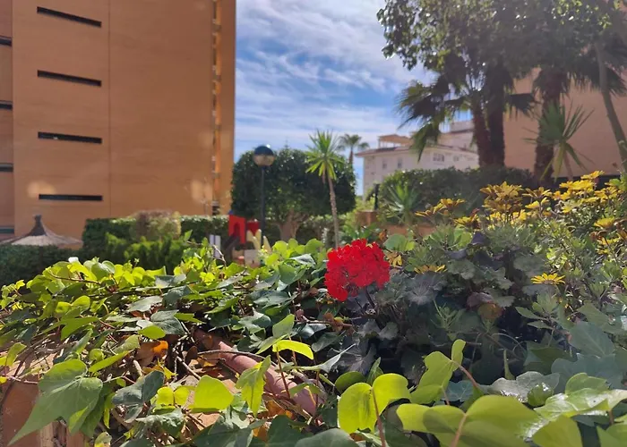 Hotel Benimar Sea View Benidorm