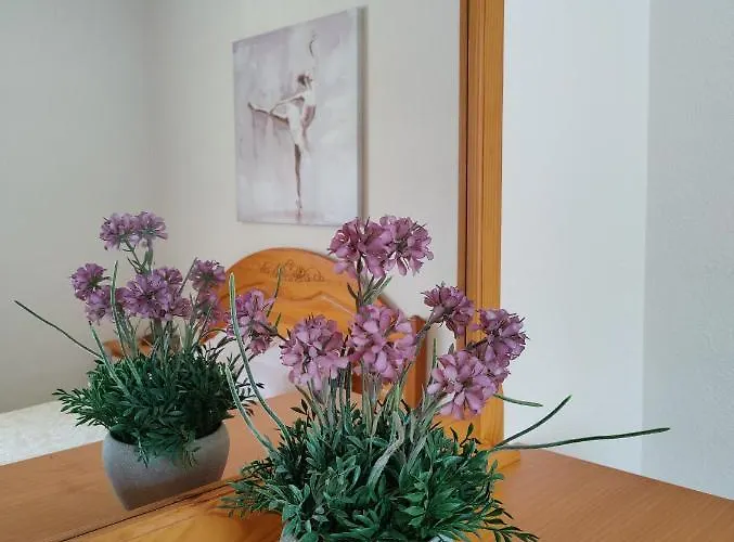 Hotel Benimar Sea View